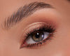MINI NUDE EYESHADOW KIT - פלטת מיני ניוד ומברשת