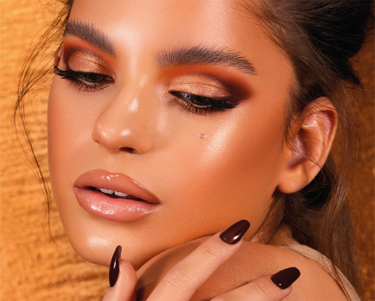BRONZE EYESHADOW PALETTE model look