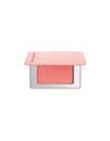 MINI BLOOM HIGHLIGHTING BLUSH packshot